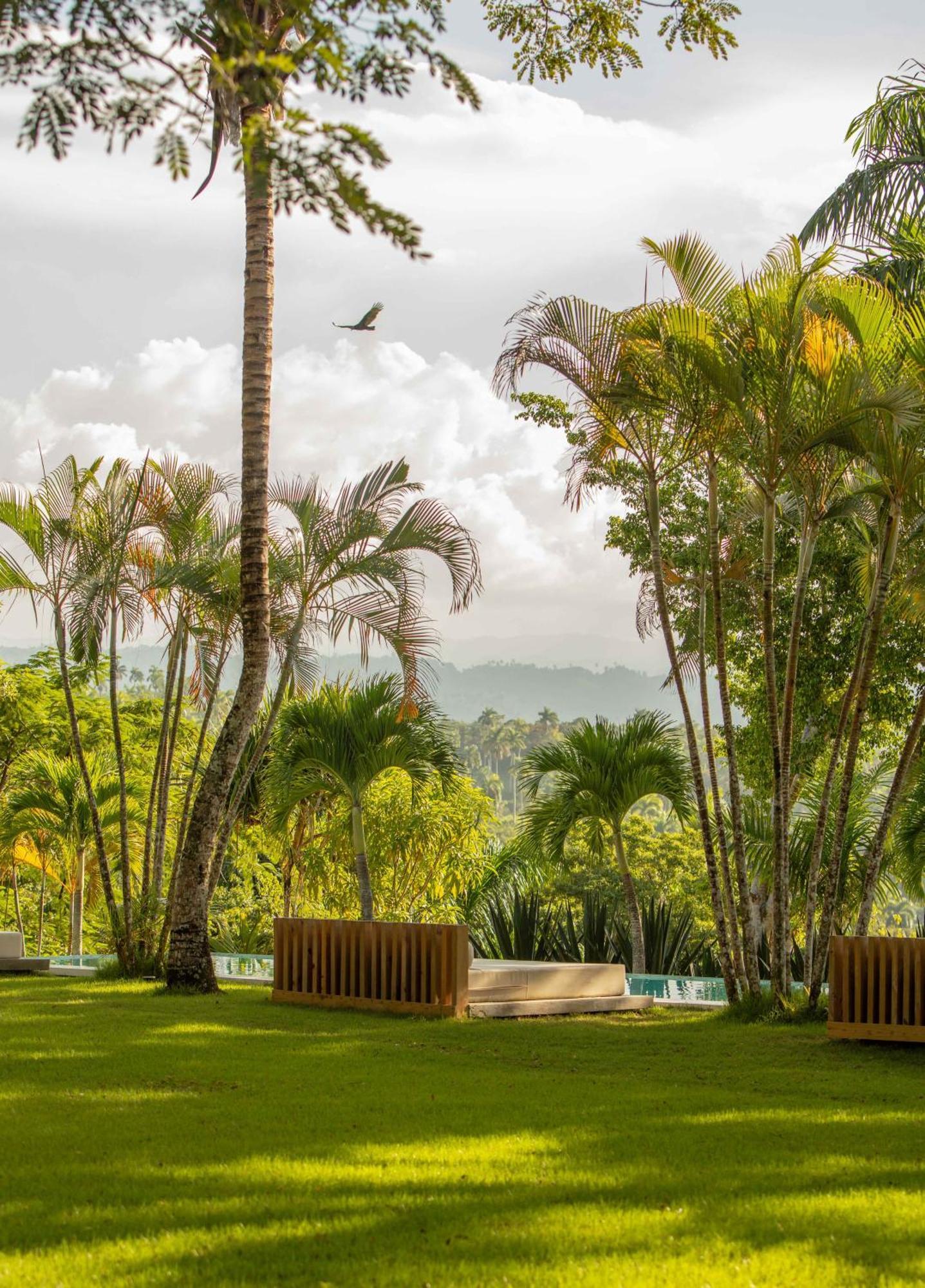 Oya - Wellness Eco Resort & Retreat Jamao al Norte Exteriér fotografie